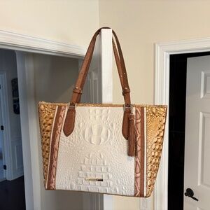 Brahmin Medium Asher